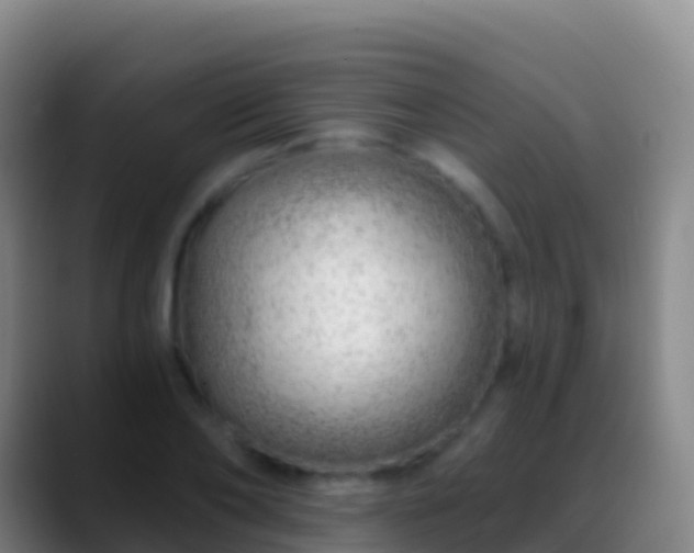 X0000088900886200706151846