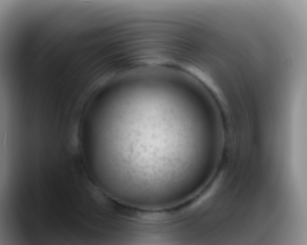 X0000088900889200706151846