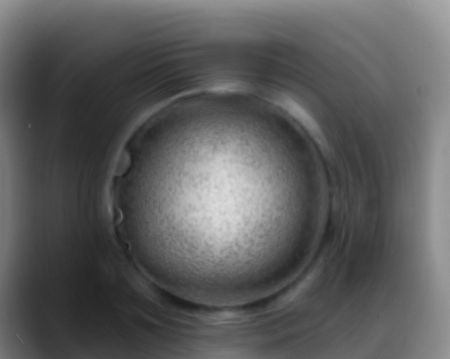 X0000088900891200706151846