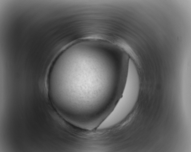 X0000088900892200706151846