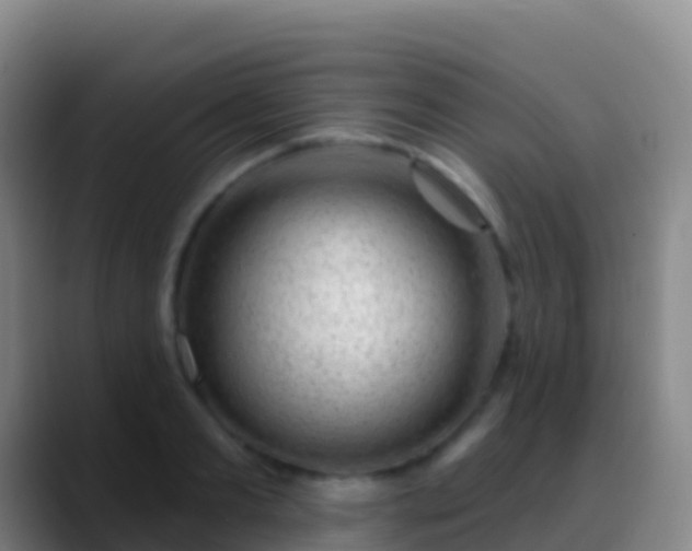X0000088900893200706151846