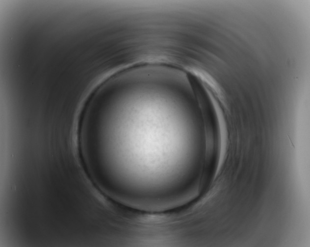 X0000088900894200706151846