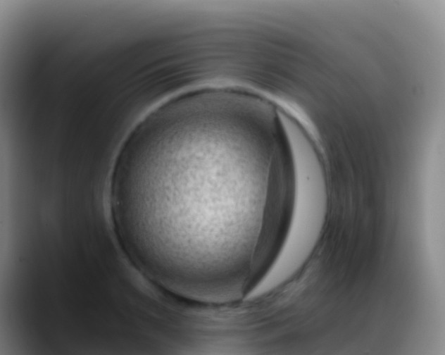 X0000088900895200706151846