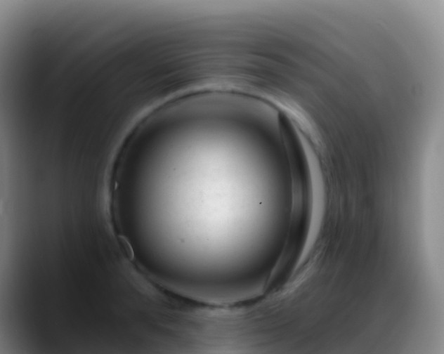 X0000088900896200706151846