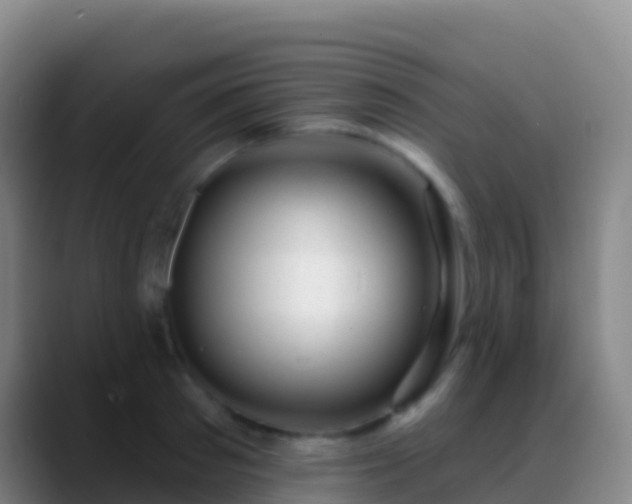 X0000088900897200706151846