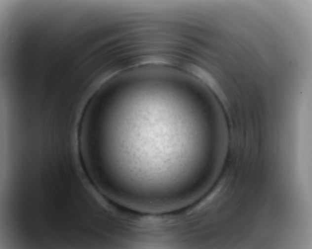 X0000088900898200706151846