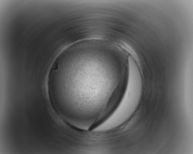 X0000088900899200706151846