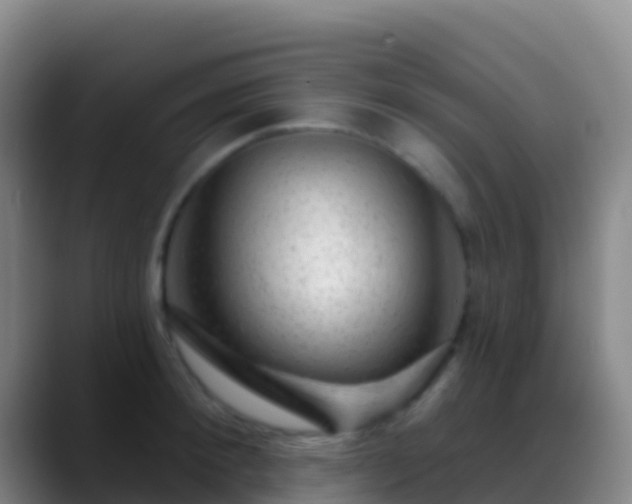 X0000088900900200706151846