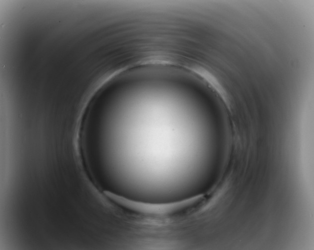 X0000088900901200706151846