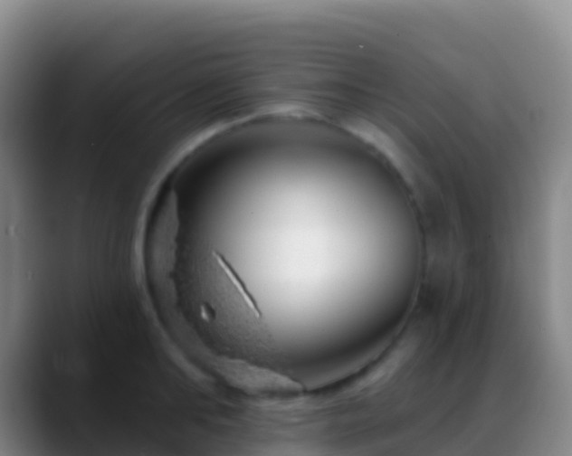 X0000088900902200706151846