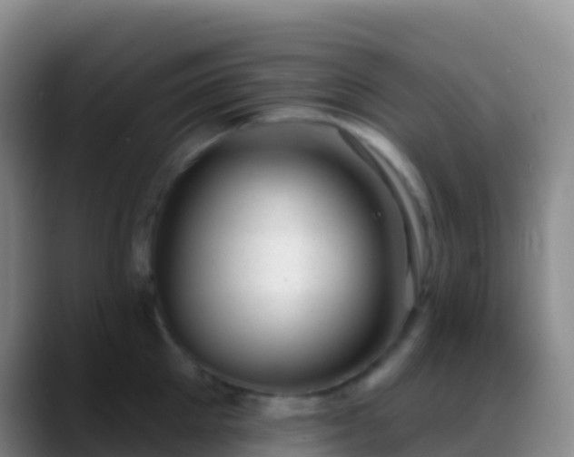 X0000088900905200706151846