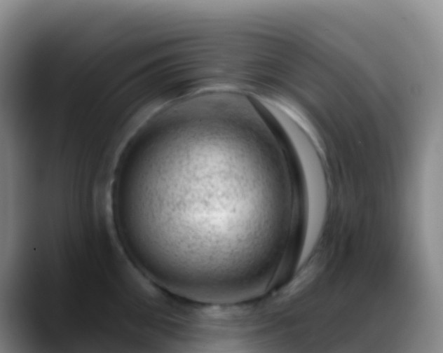 X0000088900906200706151846