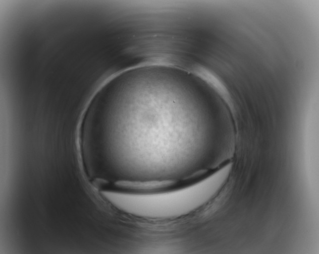 X0000088900907200706151846
