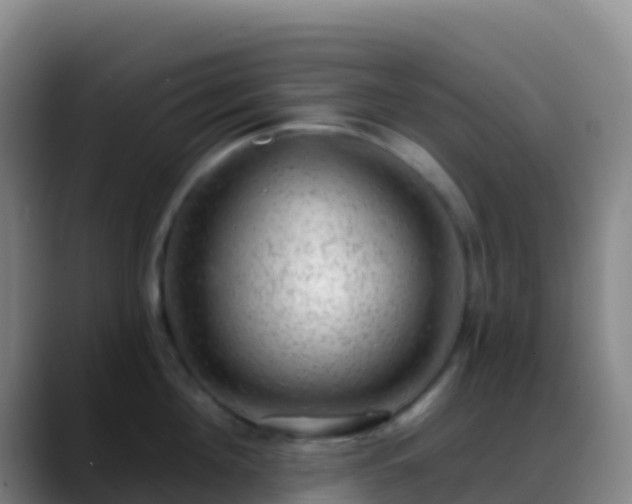 X0000088900908200706151846