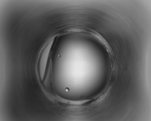 X0000088900909200706151846
