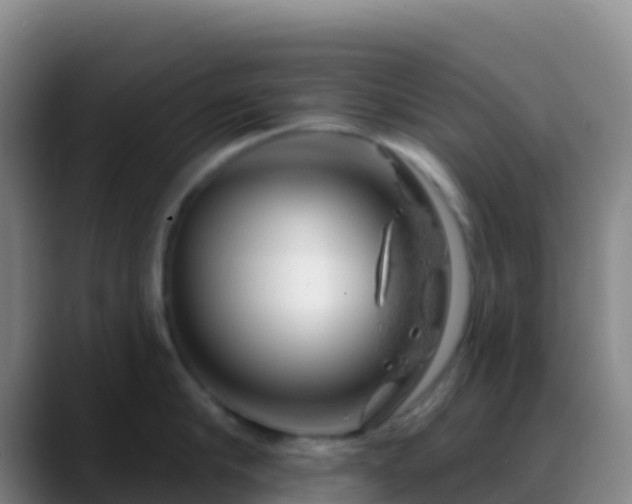 X0000088900910200706151846
