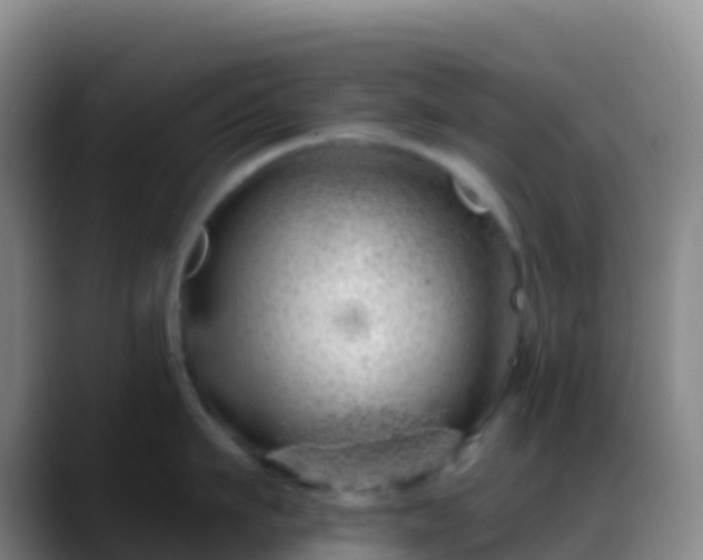 X0000088900911200706151846