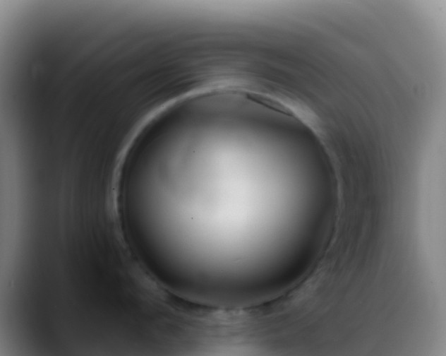 X0000088900912200706151846
