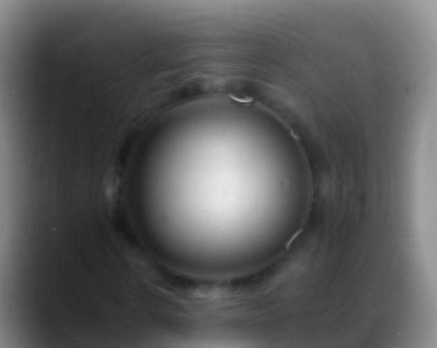 X0000088900914200706151845