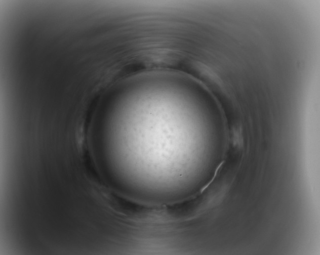 X0000088900915200706151845