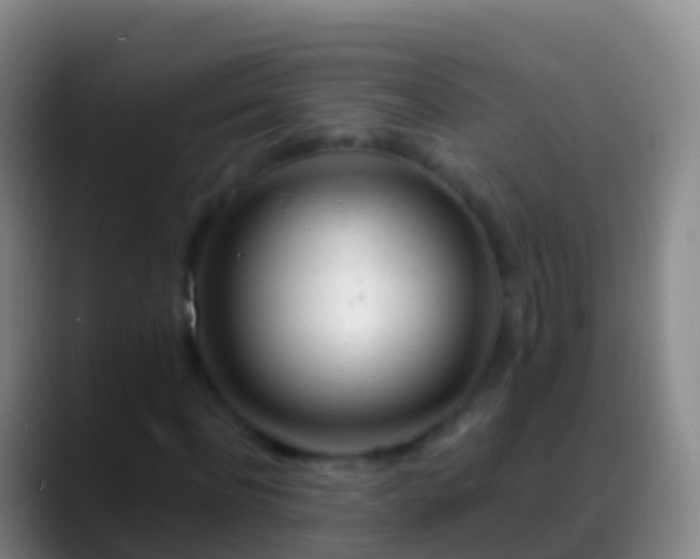 X0000088900916200706151845