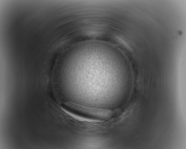 X0000088900917200706151845
