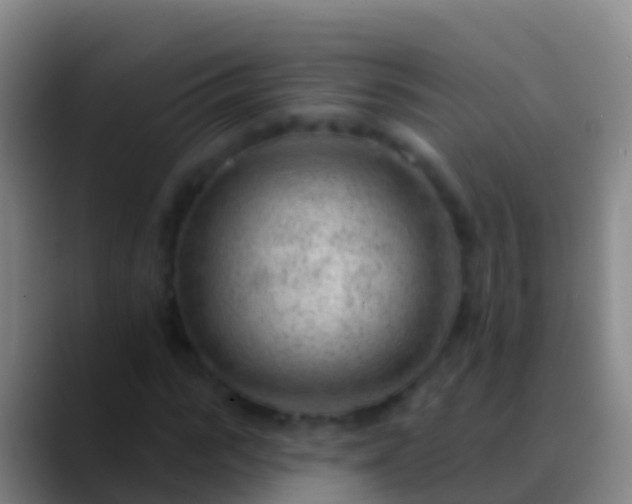 X0000088900919200706151845