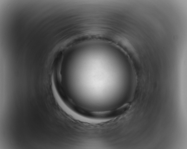 X0000088900920200706151845
