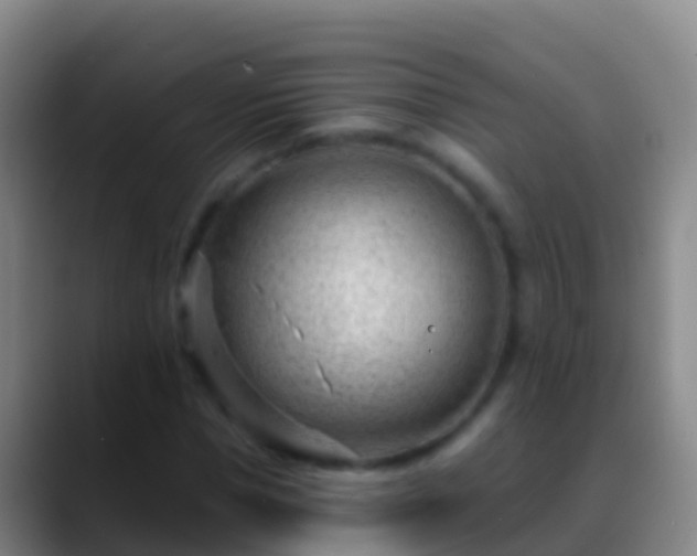X0000088900921200706151845