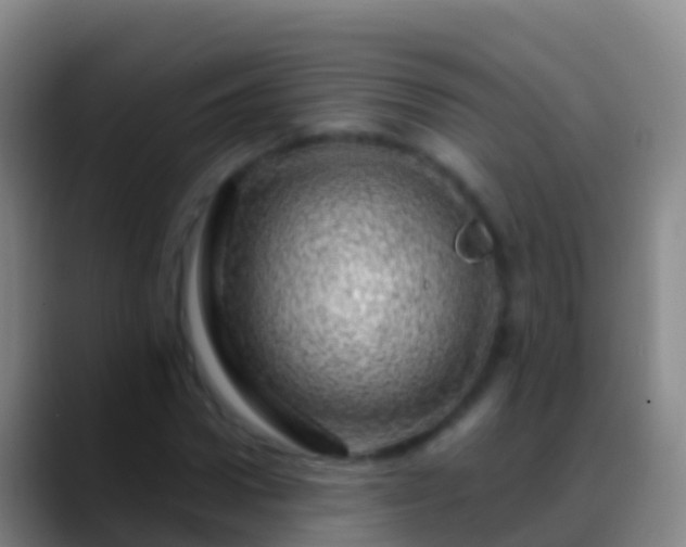 X0000088900922200706151845