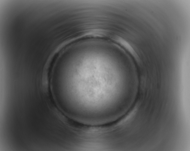 X0000088900923200706151845
