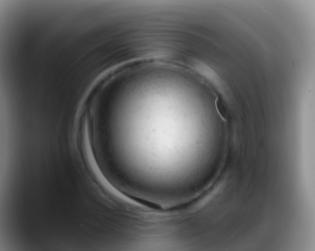 X0000088900924200706151845