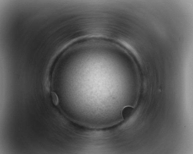 X0000088900925200706151845