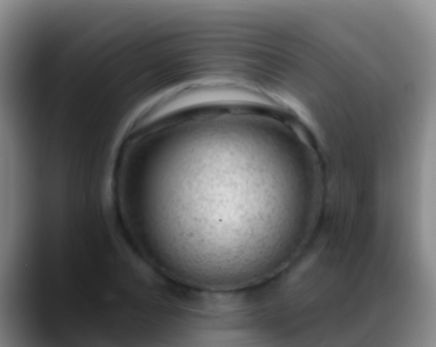 X0000088900928200706151845