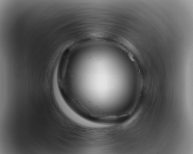X0000088900930200706151845