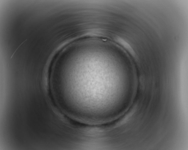 X0000088900931200706151845