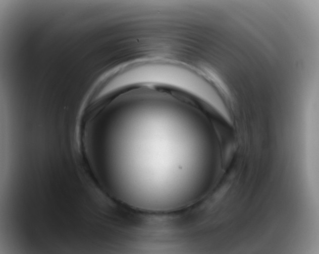 X0000088900932200706151845