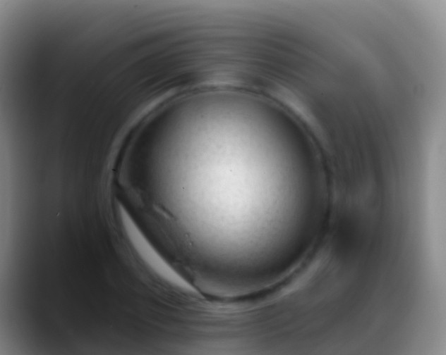 X0000088900933200706151845