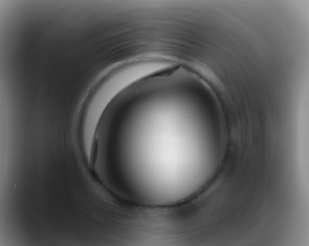 X0000088900934200706151845