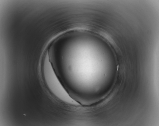 X0000088900936200706151845