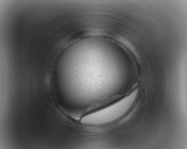 X0000088900937200706151845