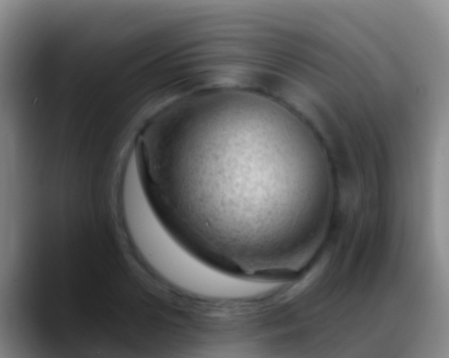 X0000088900938200706151845