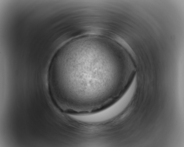 X0000088900939200706151845
