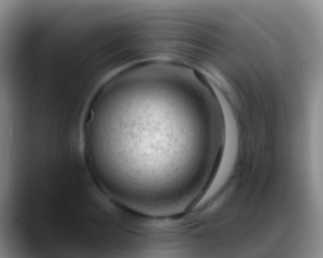 X0000088900940200706151845