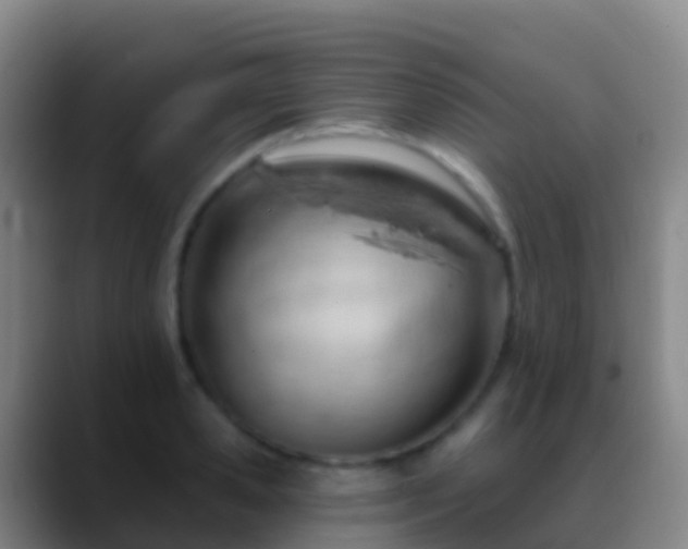 X0000088900941200706151845