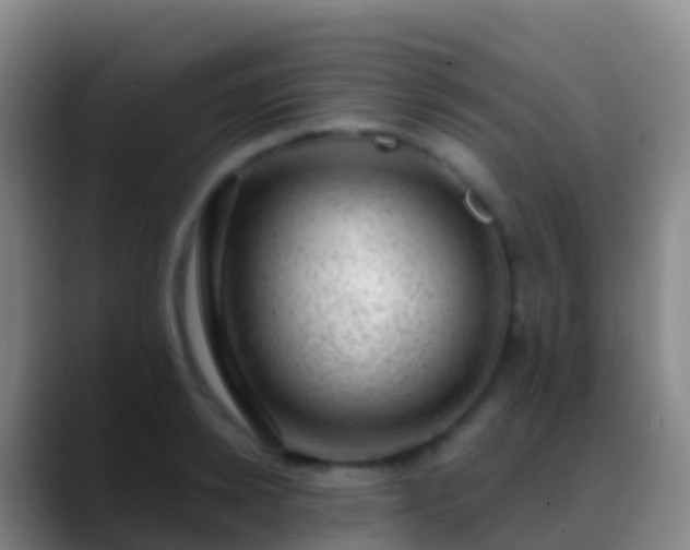 X0000088900942200706151845