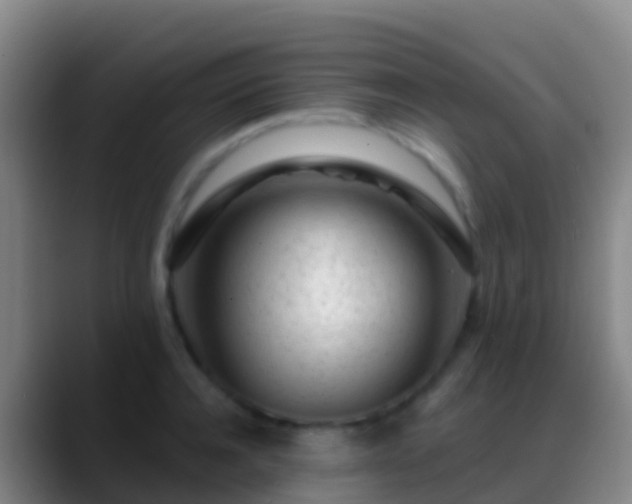 X0000088900944200706151845