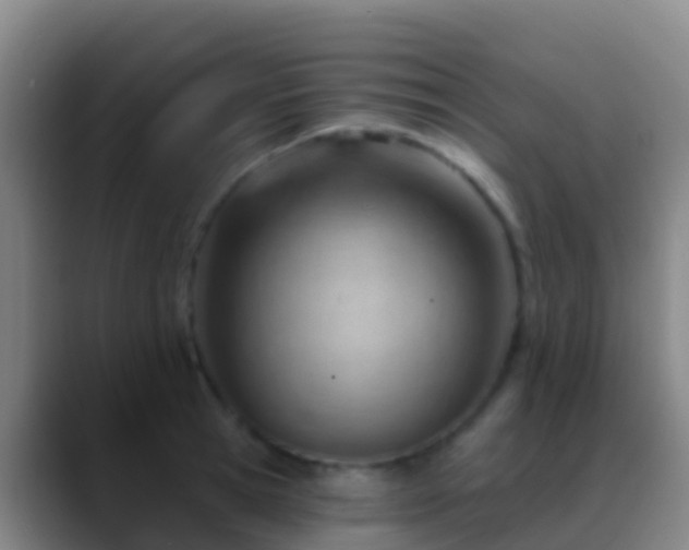 X0000088900945200706151845