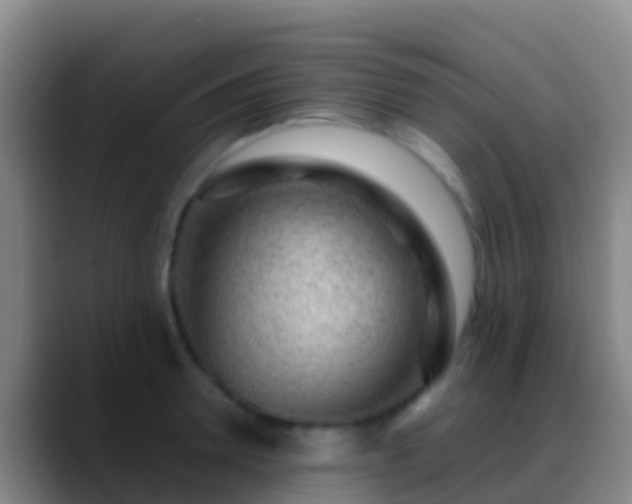X0000088900946200706151845