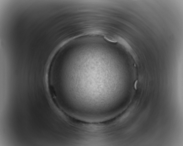 X0000088900947200706151845